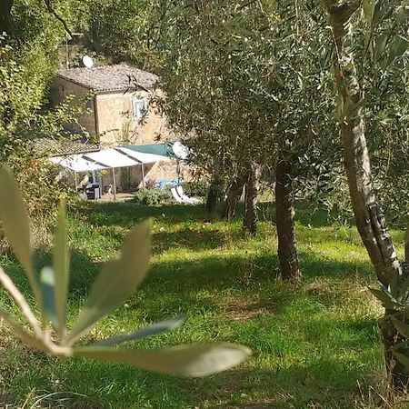 Lubriano L'Antico Molino B&B 외부 사진