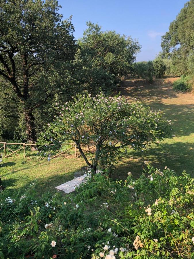 Lubriano L'Antico Molino B&B 외부 사진