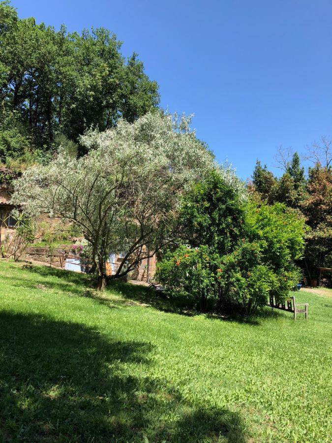 Lubriano L'Antico Molino B&B 외부 사진
