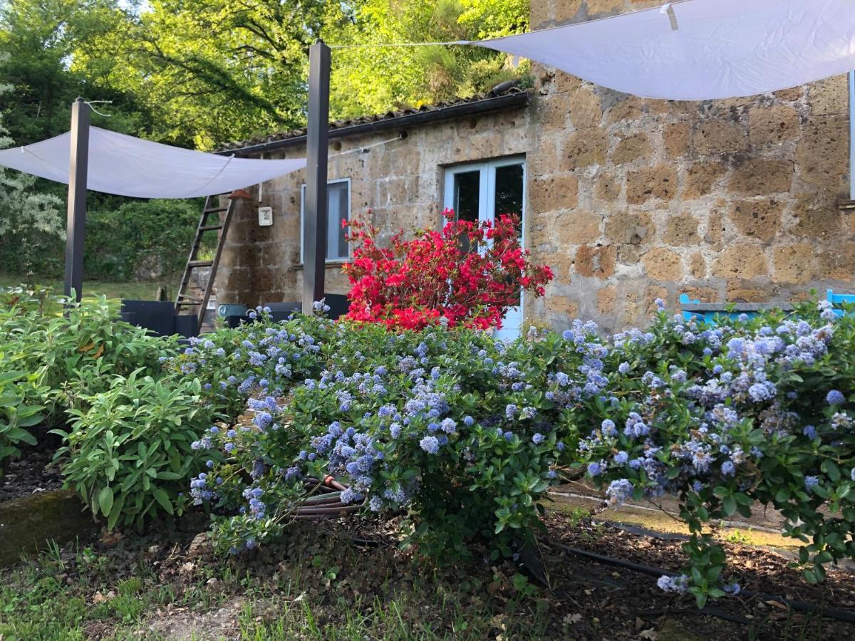 Lubriano L'Antico Molino B&B 외부 사진